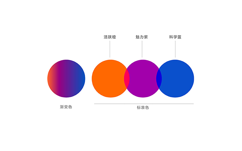学校logo设计