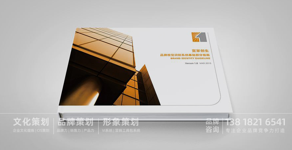 品牌设计手册，品牌VI设计，品牌管理手册