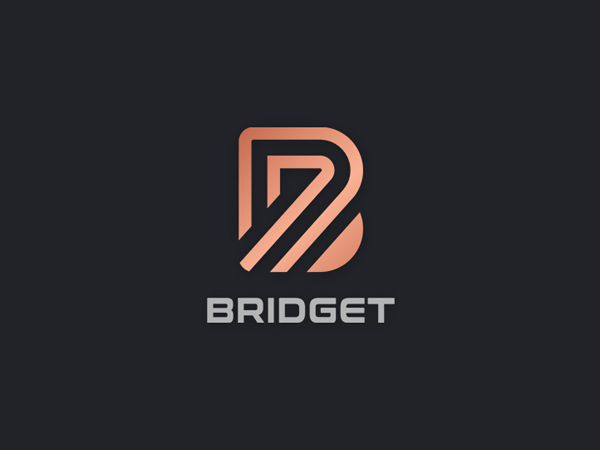 以字母B为造型的logo设计_上海logo设计公司