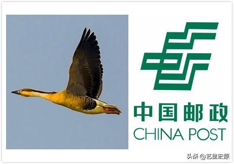 中国邮政logo设计