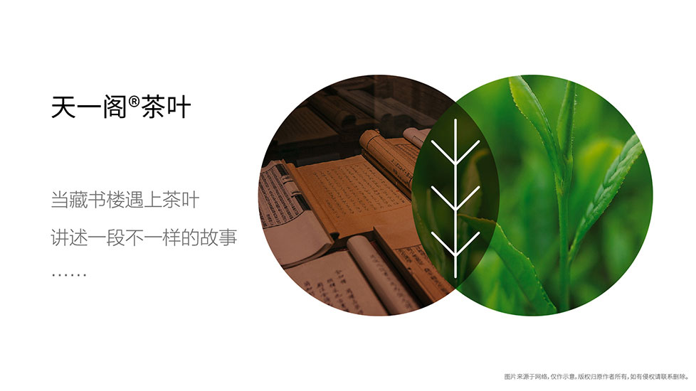 茶叶品牌策划