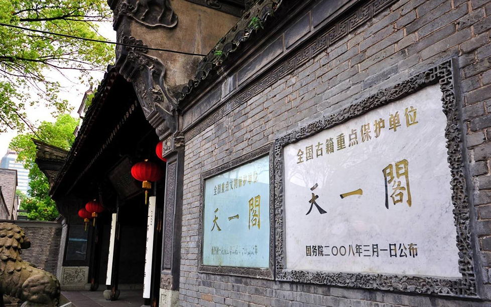 茶文化品牌策划
