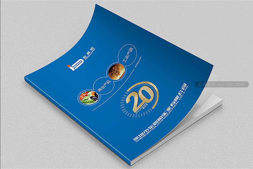 实业公司成立二十周年画册设计